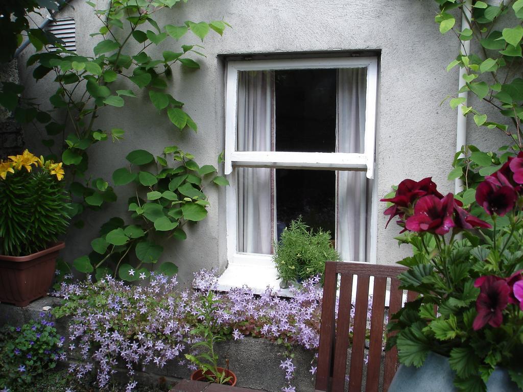 Harrington House Hostel 都柏林 外观 照片